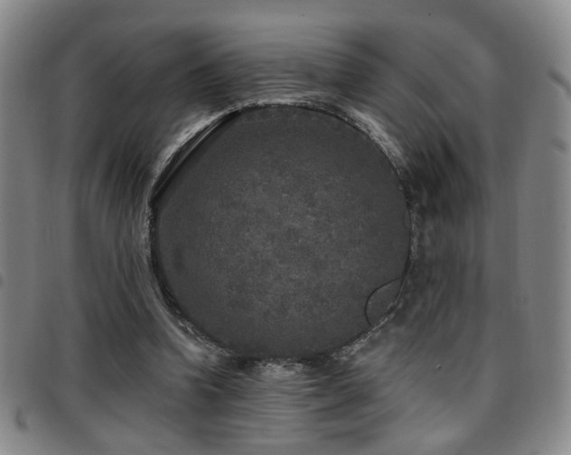X0000097810346200803141124