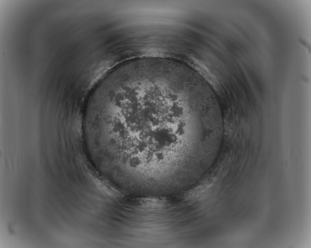 X0000097810347200803141124