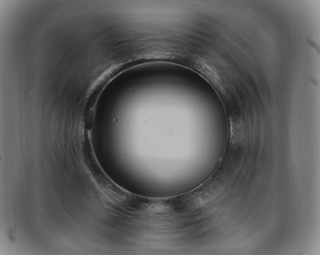 X0000097810348200803141124