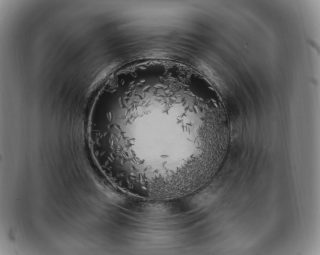 X0000097810349200803141124