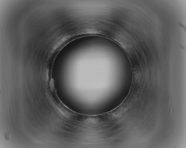 X0000097810350200803141124