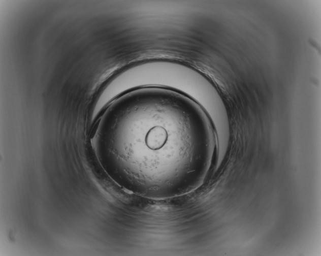 X0000097810352200803141124