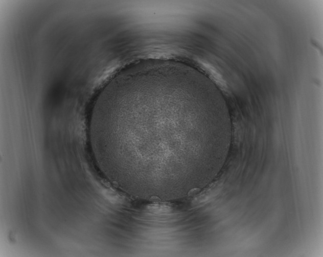 X0000097810354200803141124
