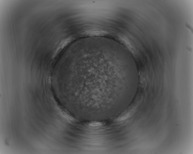 X0000097810357200803141124