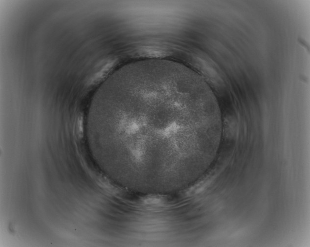 X0000097810358200803141124