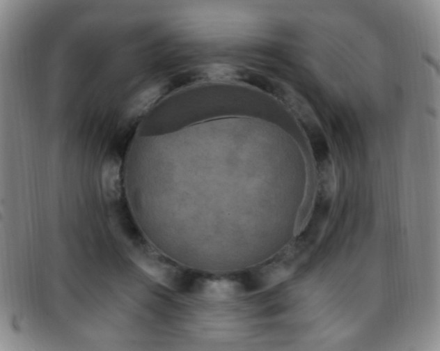 X0000097810360200803141124