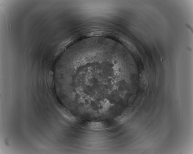 X0000097810361200803141124