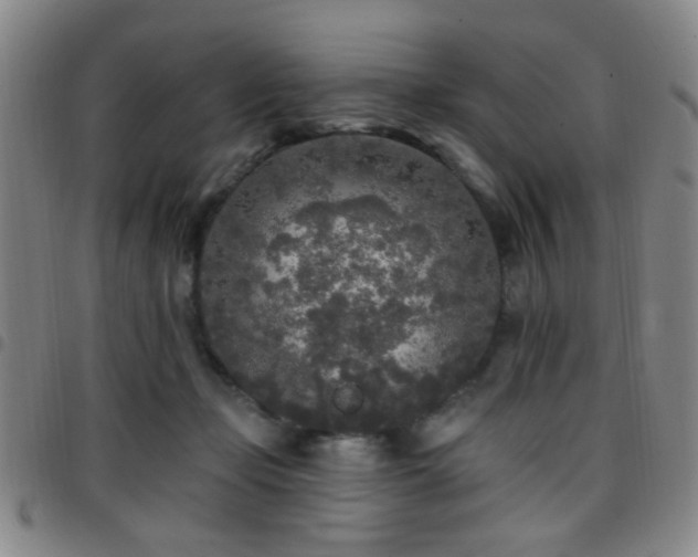 X0000097810365200803141124