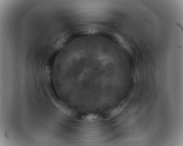 X0000097810366200803141124