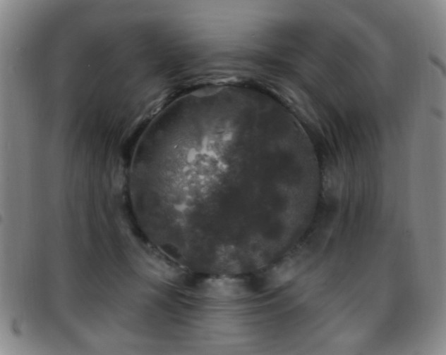 X0000097810367200803141124