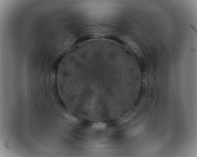 X0000097810369200803141124