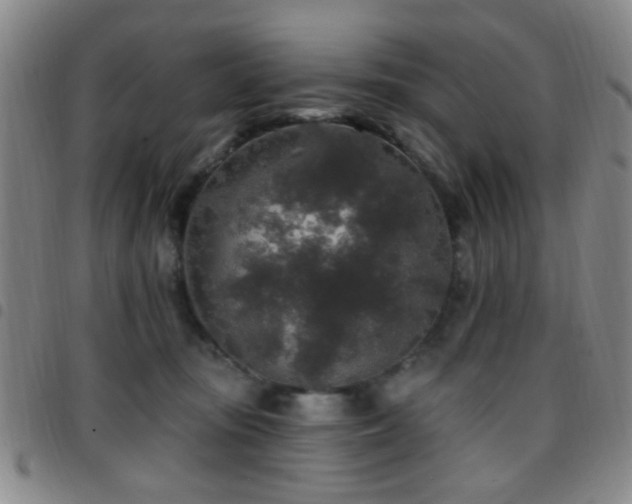 X0000097810371200803141124