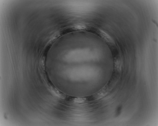 X0000097810373200803141124