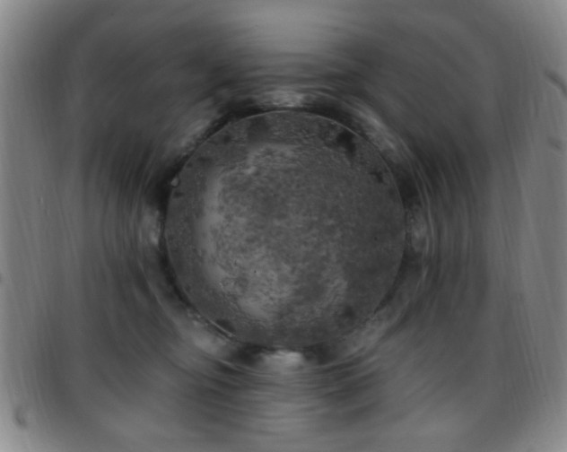 X0000097810374200803141124