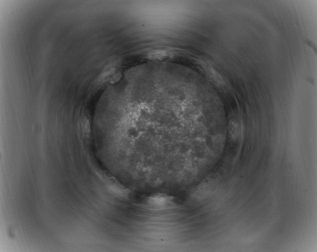 X0000097810375200803141124