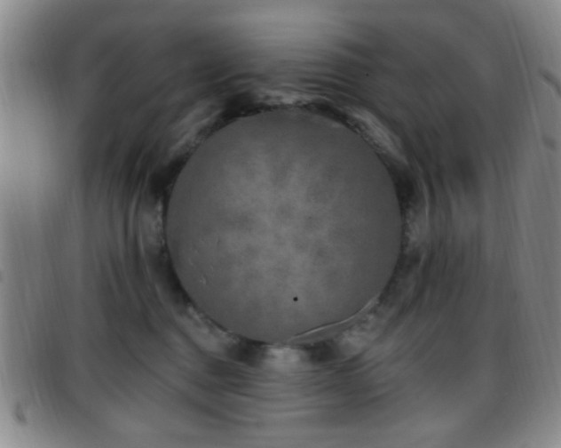 X0000097810376200803141124