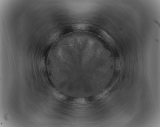 X0000097810377200803141124