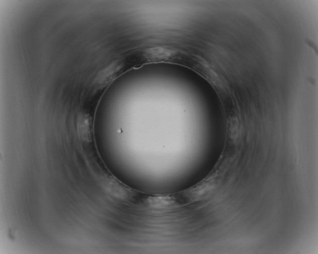 X0000097810378200803141124