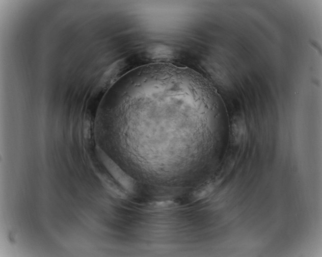 X0000097810379200803141124