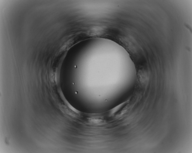 X0000097810380200803141124