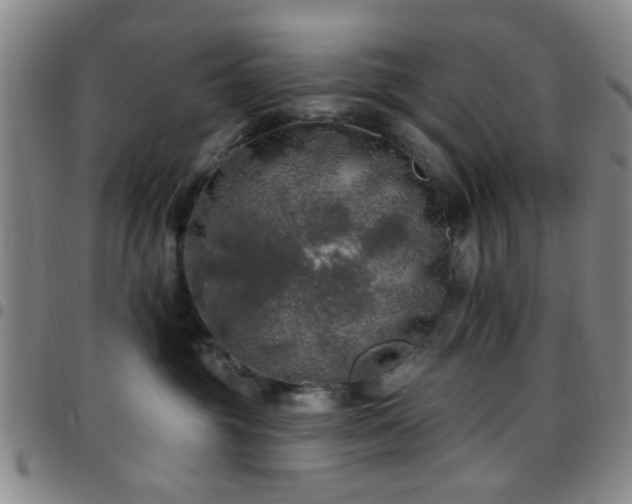 X0000097810381200803141124