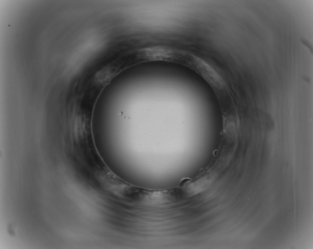 X0000097810382200803141124