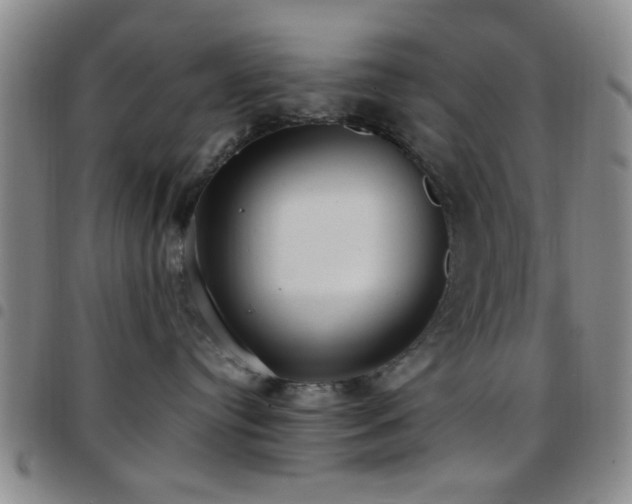 X0000097810384200803141124
