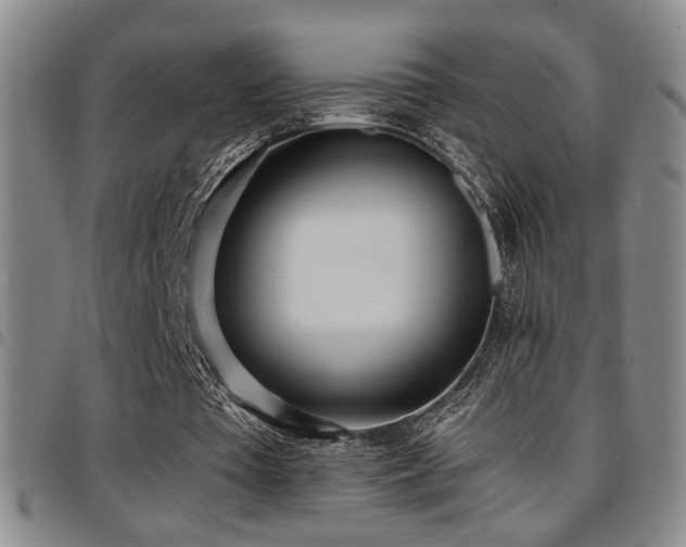X0000097810385200803141123