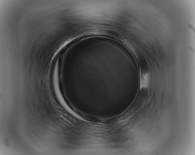X0000097810387200803141123