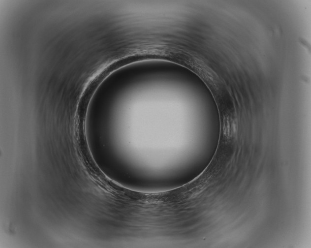 X0000097810388200803141123