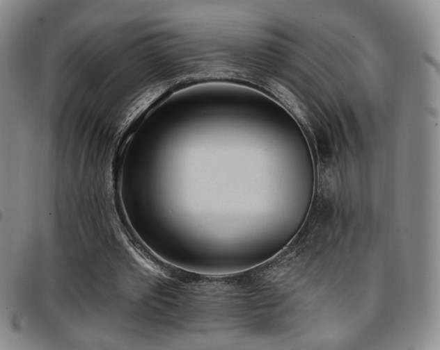 X0000097810389200803141123
