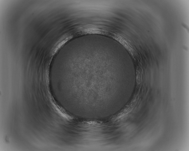 X0000097810390200803141123