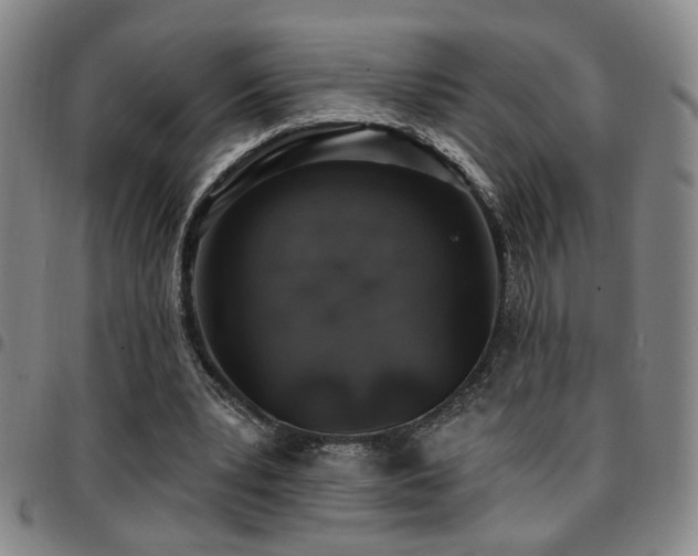 X0000097810391200803141123