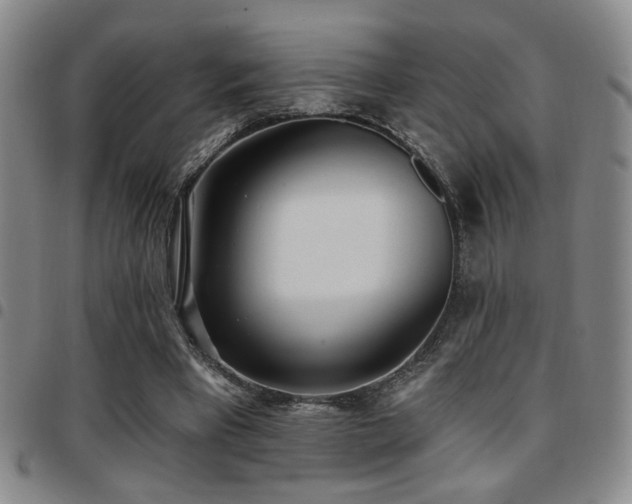 X0000097810393200803141123