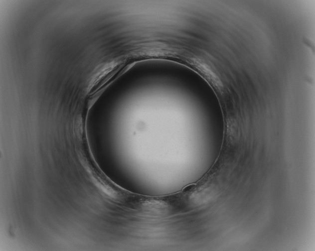 X0000097810397200803141123