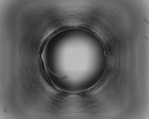 X0000097810399200803141123