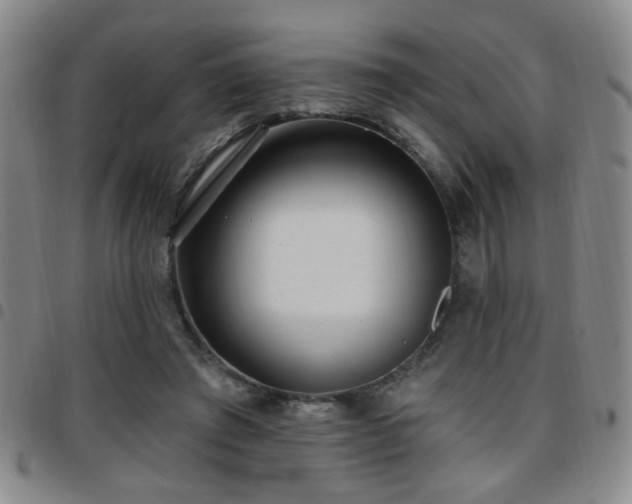X0000097810401200803141123