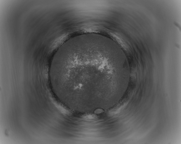 X0000097810402200803141123