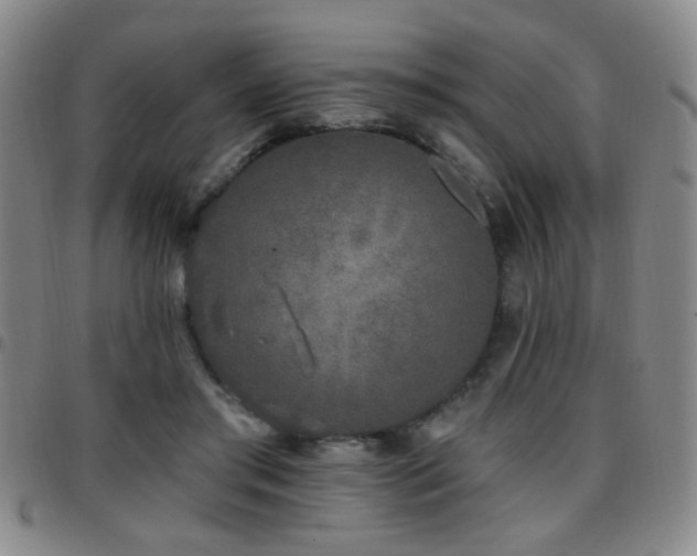 X0000097810405200803141123