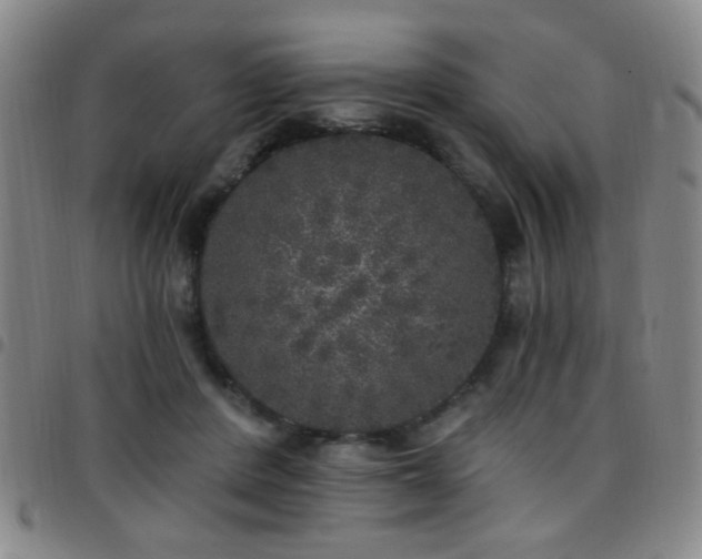 X0000097810408200803141123