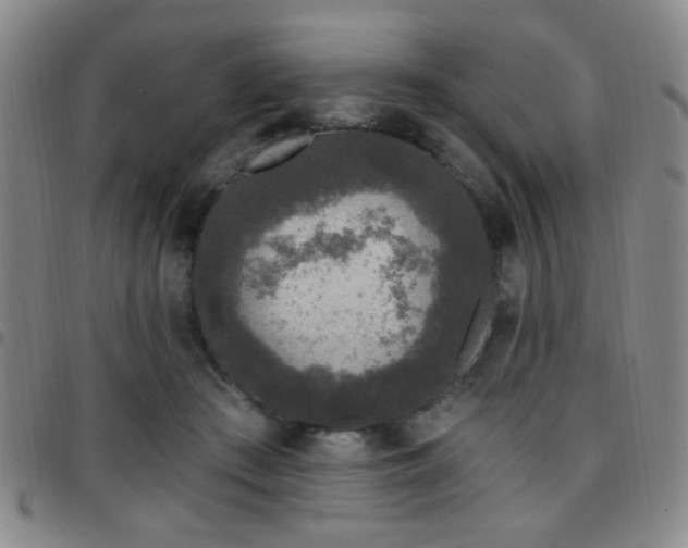 X0000097810409200803141123