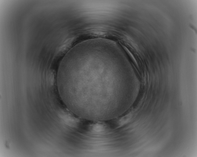X0000097810412200803141123
