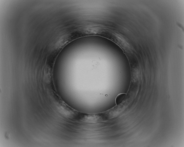 X0000097810414200803141123