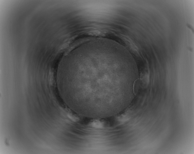 X0000097810416200803141123