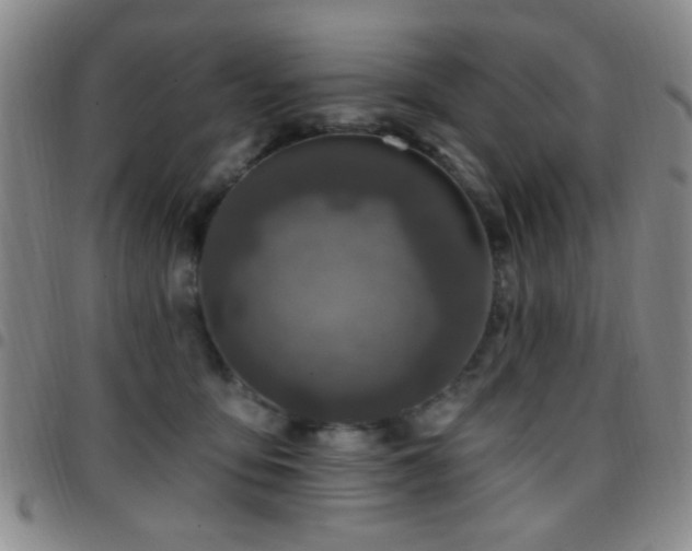 X0000097810419200803141123