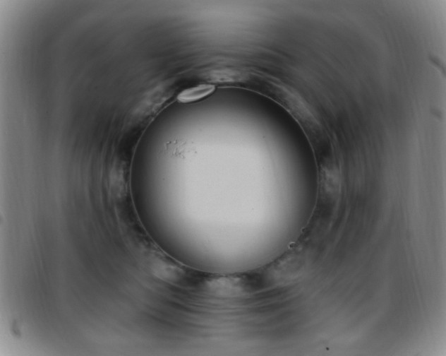 X0000097810422200803141123