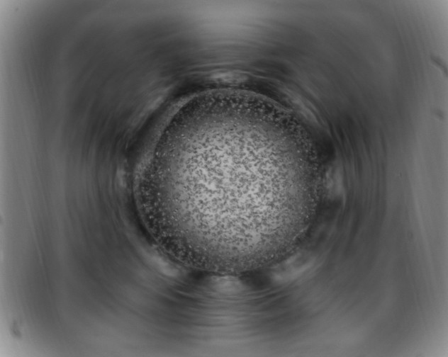 X0000097810424200803141123