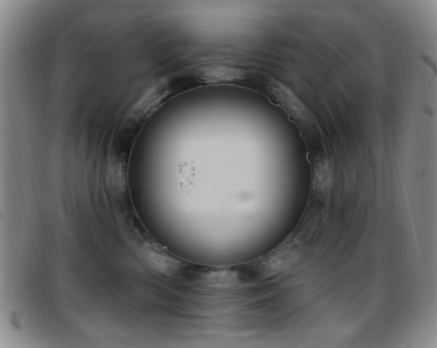 X0000097810426200803141123