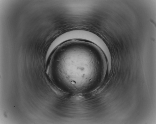 X0000097810427200803141123