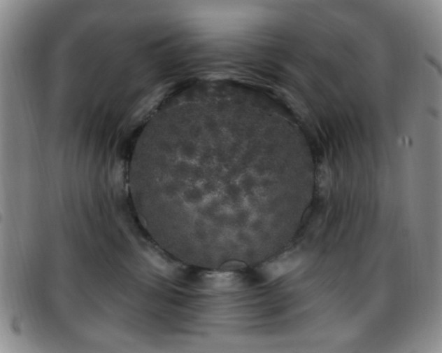 X0000097810428200803141123